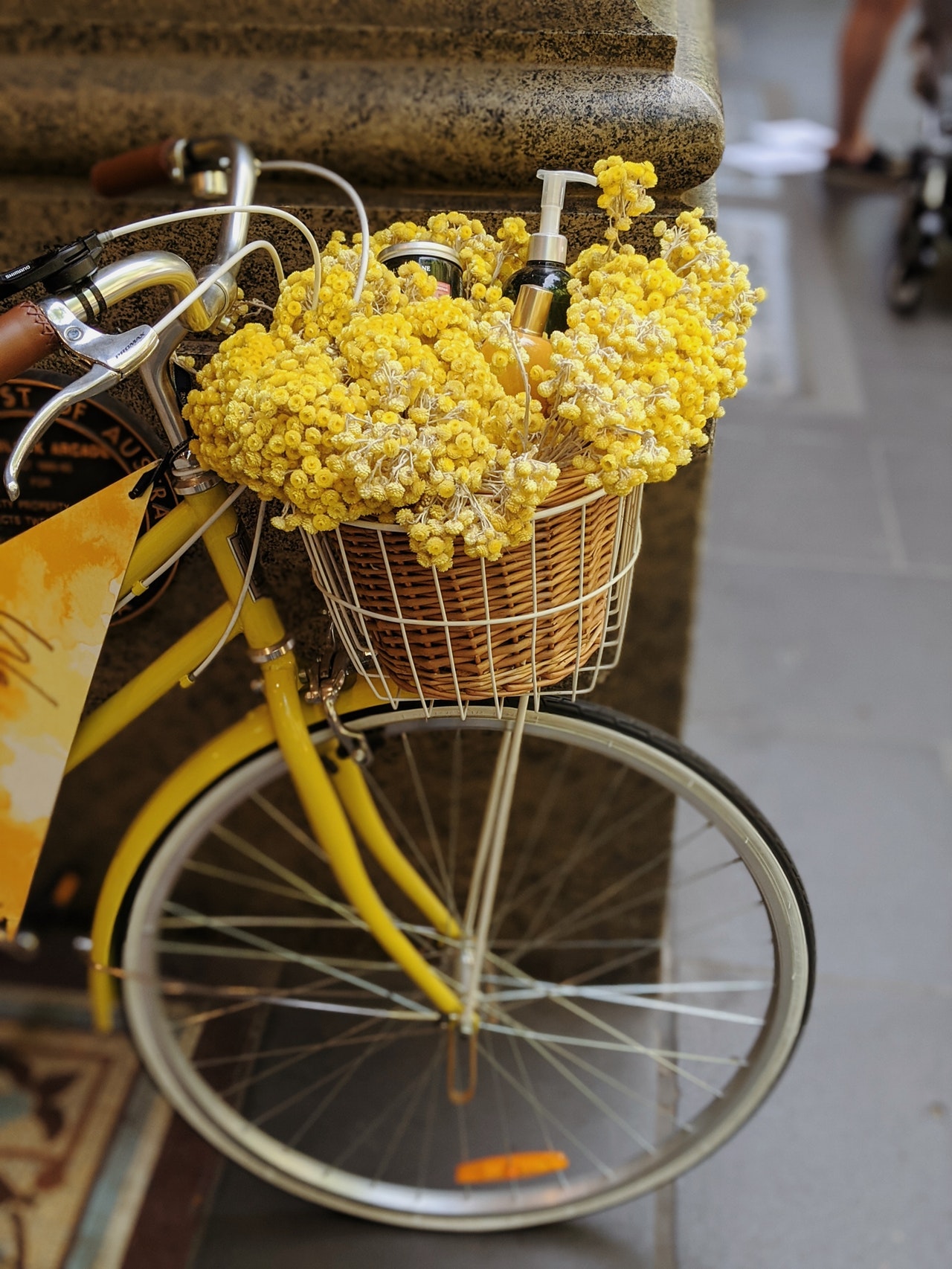 yellow flowers in brown woven basket on bicycle